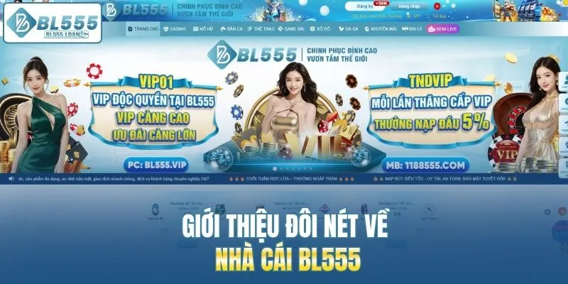 giới thiệu đôi nét về nhà cái